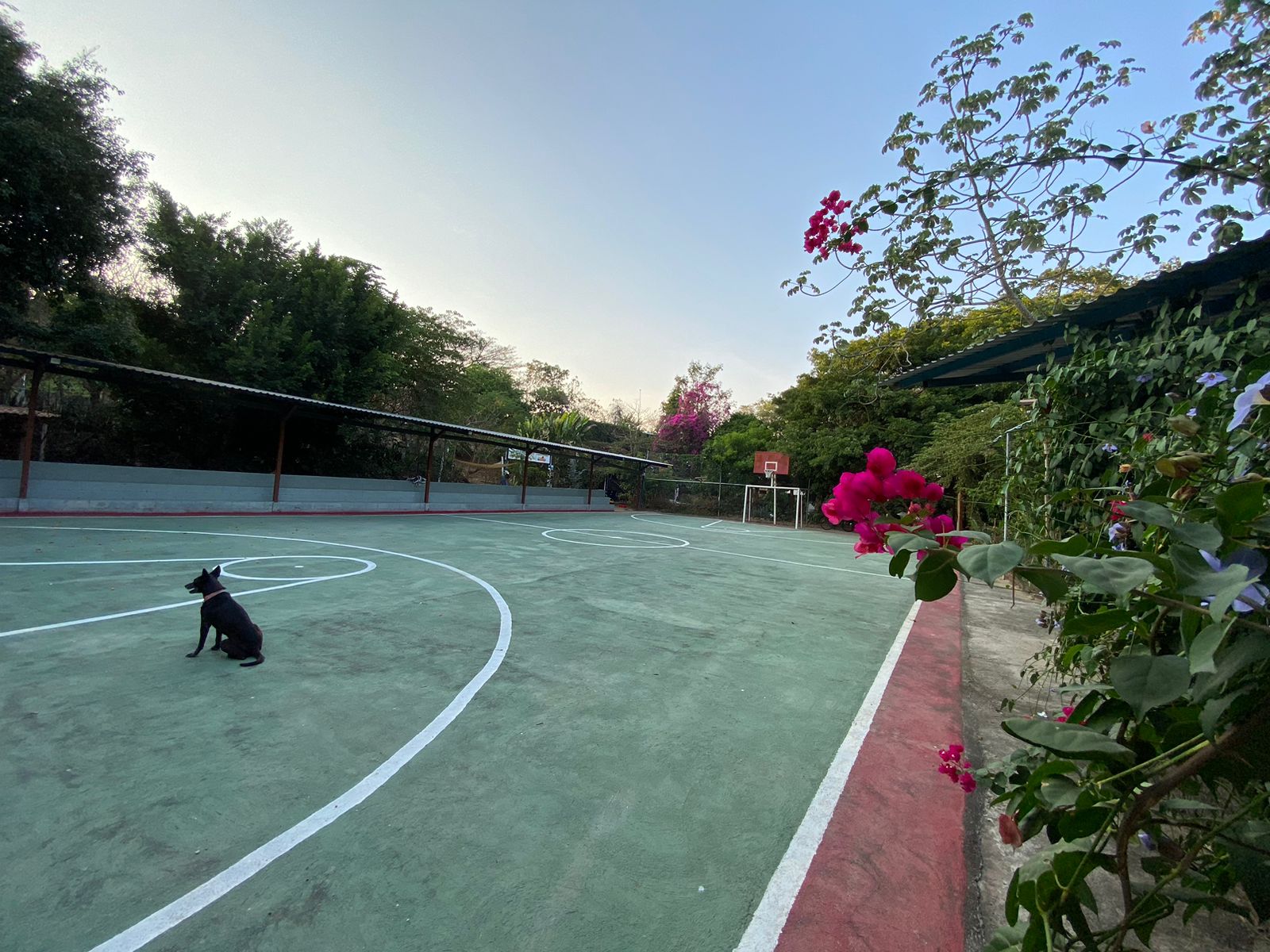 Naturaleza Family Fun