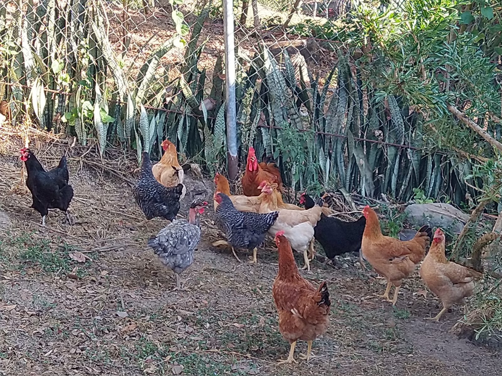 Eventos Corporativos